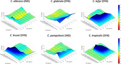 In Vitro Synergy of Isavuconazole Combined With Colistin Against Common Candida Species